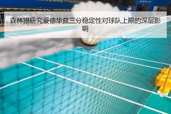 森林狼研究爱德华兹三分稳定性对球队上限的深层影响