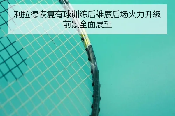 利拉德恢复有球训练后雄鹿后场火力升级前景全面展望